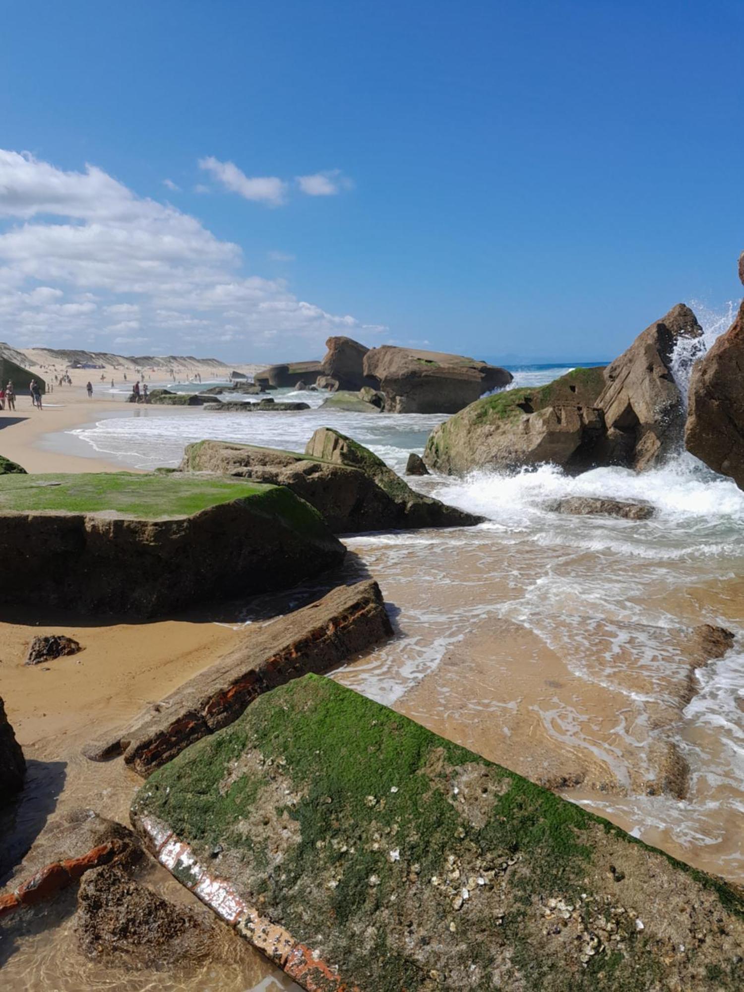 Joli 2 Pieces Sur Le Port Avec Piscine, Terrasse, Parking Apartamento Capbreton Exterior foto